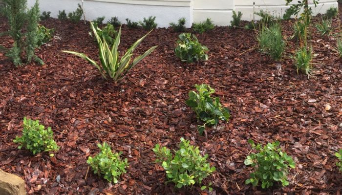How to use Landscaping Mulch and Benefits